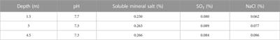 Geotechnical aspects of alluvial soils at different depths under sodium chloride action in Najran region, Saudi Arabia: Field supported by laboratory tests